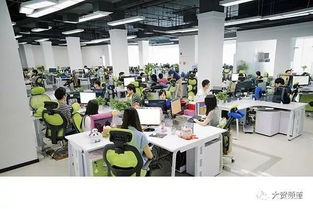 蘭州 在科技浪潮中尋覓軟件開發(fā)之路